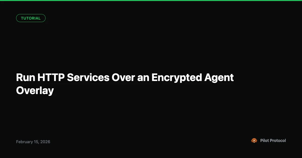 HTTP Services Over Encrypted Overlay